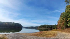 pisgah point camping area, land between the lakes kentucky