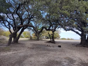 LBJ National Grasslands free campsite