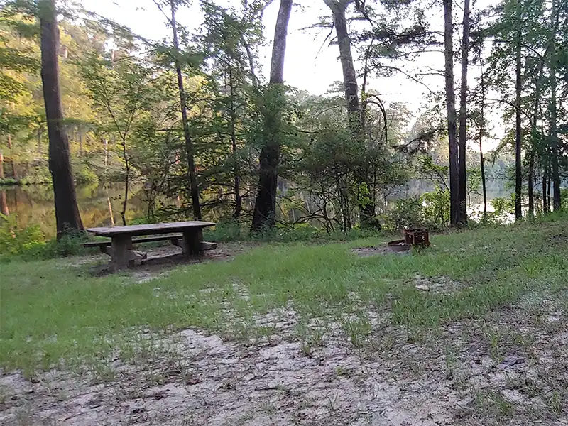 Photo of a campsite at bouton lake campground in texas