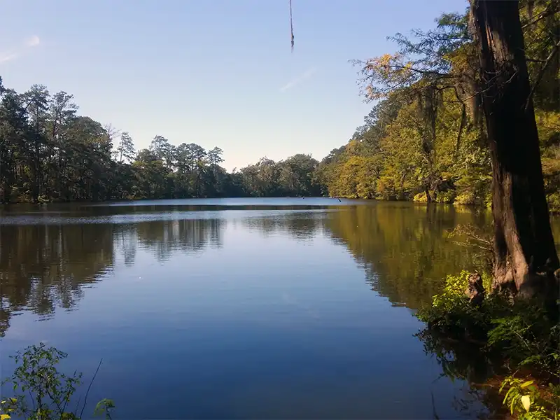Photo of the lake at bouton lake campground in texas
