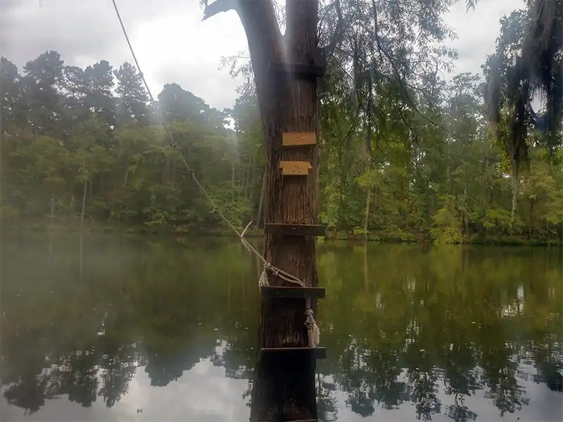 Photo of a tree swing at bouton lake campground in texas