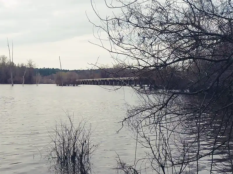 Photo of the bridge at bubba cowser recreation area in texas