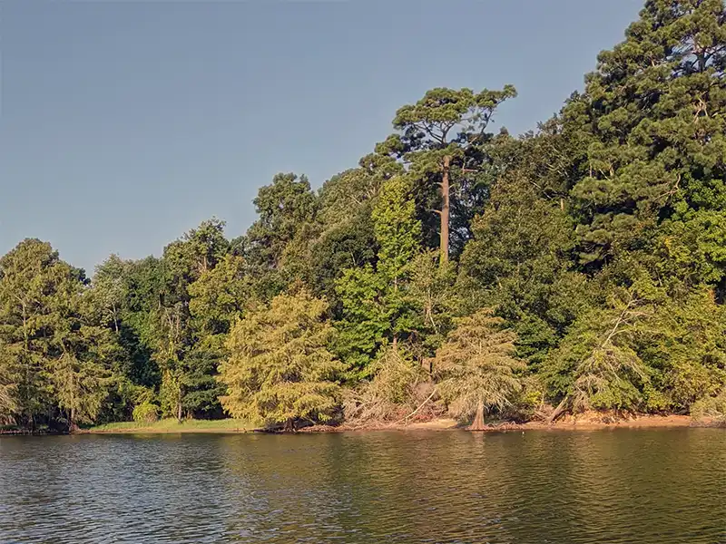 Photo of the peninsula at haleys ferry boat ramp in texas