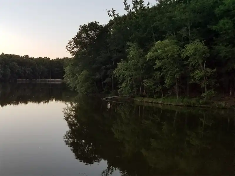 Photo of a small dock at lake winnsboro park in texas