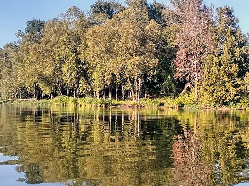photo of the shoreline at lake winnsboro park in texas