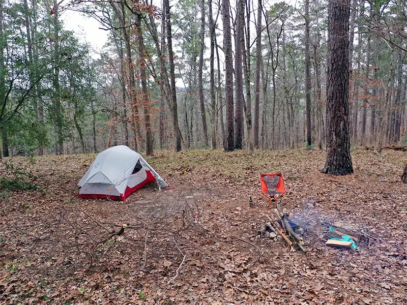 photo of a campsite at neches bluff overlook at davy crockett national forest in texas