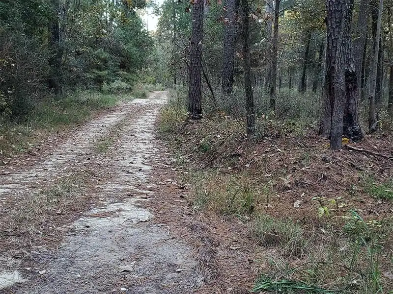 Photo of a truck trail at shell oil road hunters camp in texas