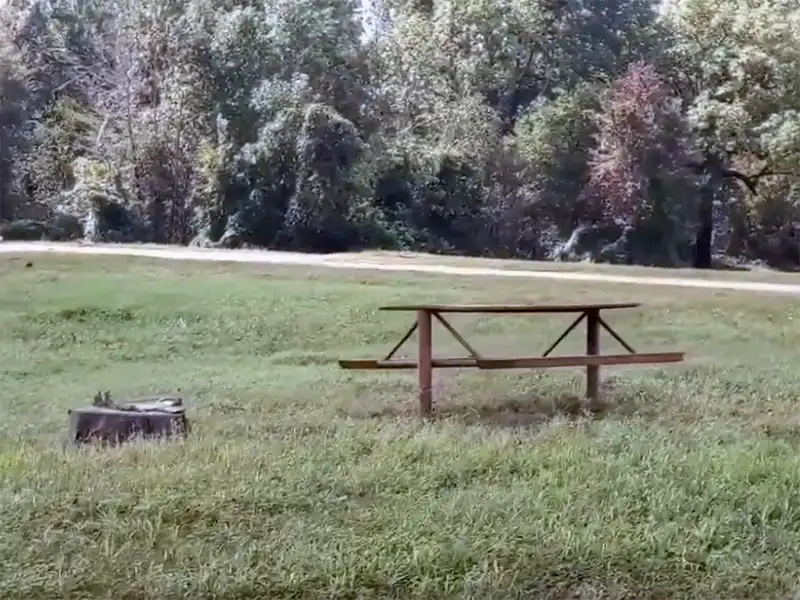 Photo of picnic table at thomas lake park, thomas lake, texas