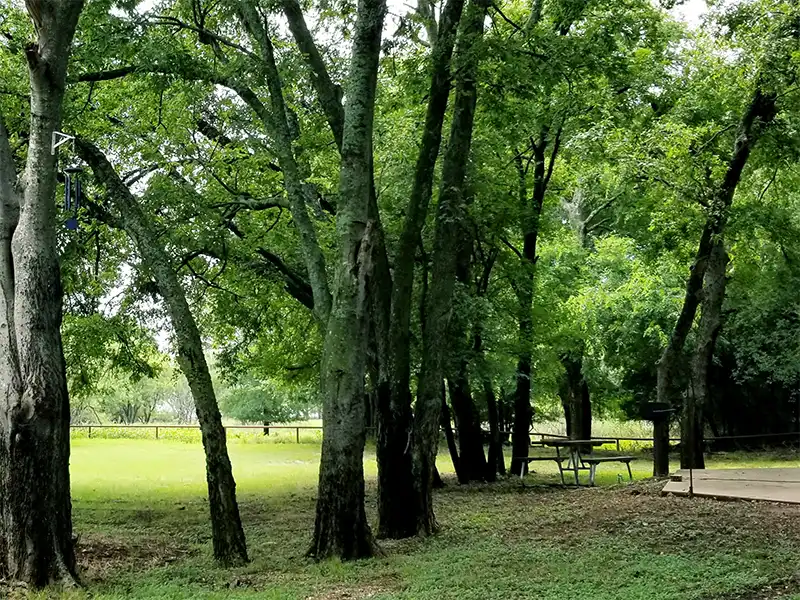 shaded campsite at walling bend park campground, lake whitney, texas