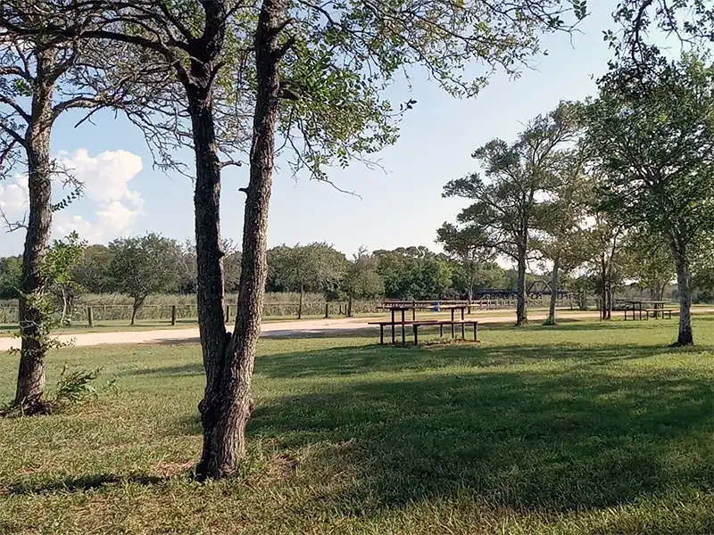 Photo of picnic tables at Carl Park Palacios Texas