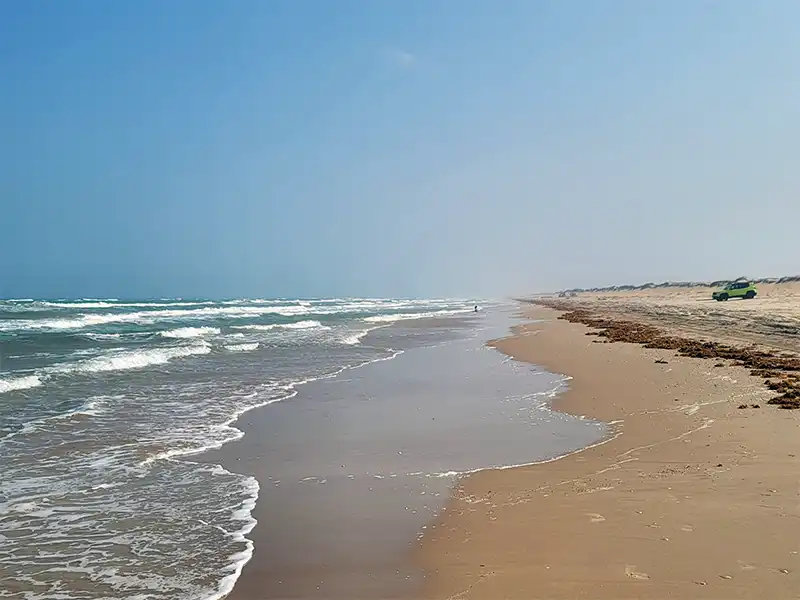 Photo of a car camper at South Beach, Mile 5-60, Padre Island National Seashore