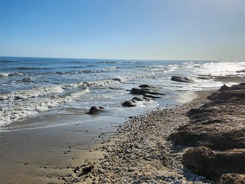 Photo of the beach at West Mooring Dock Park, Bay City Texas